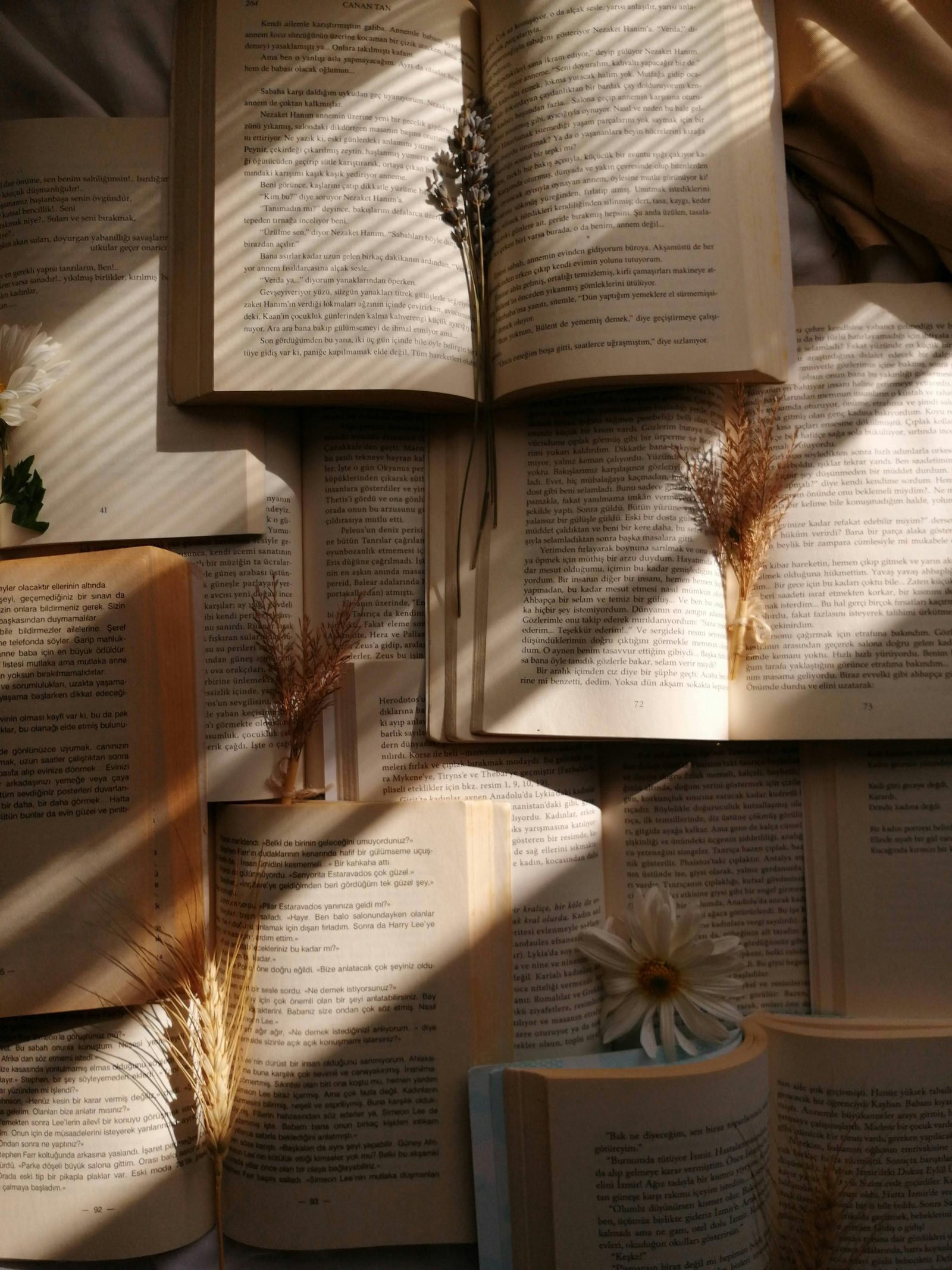 How Long Is The Shortest Book Ever Written?