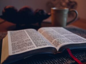 What Book Should I Read In The Bible?