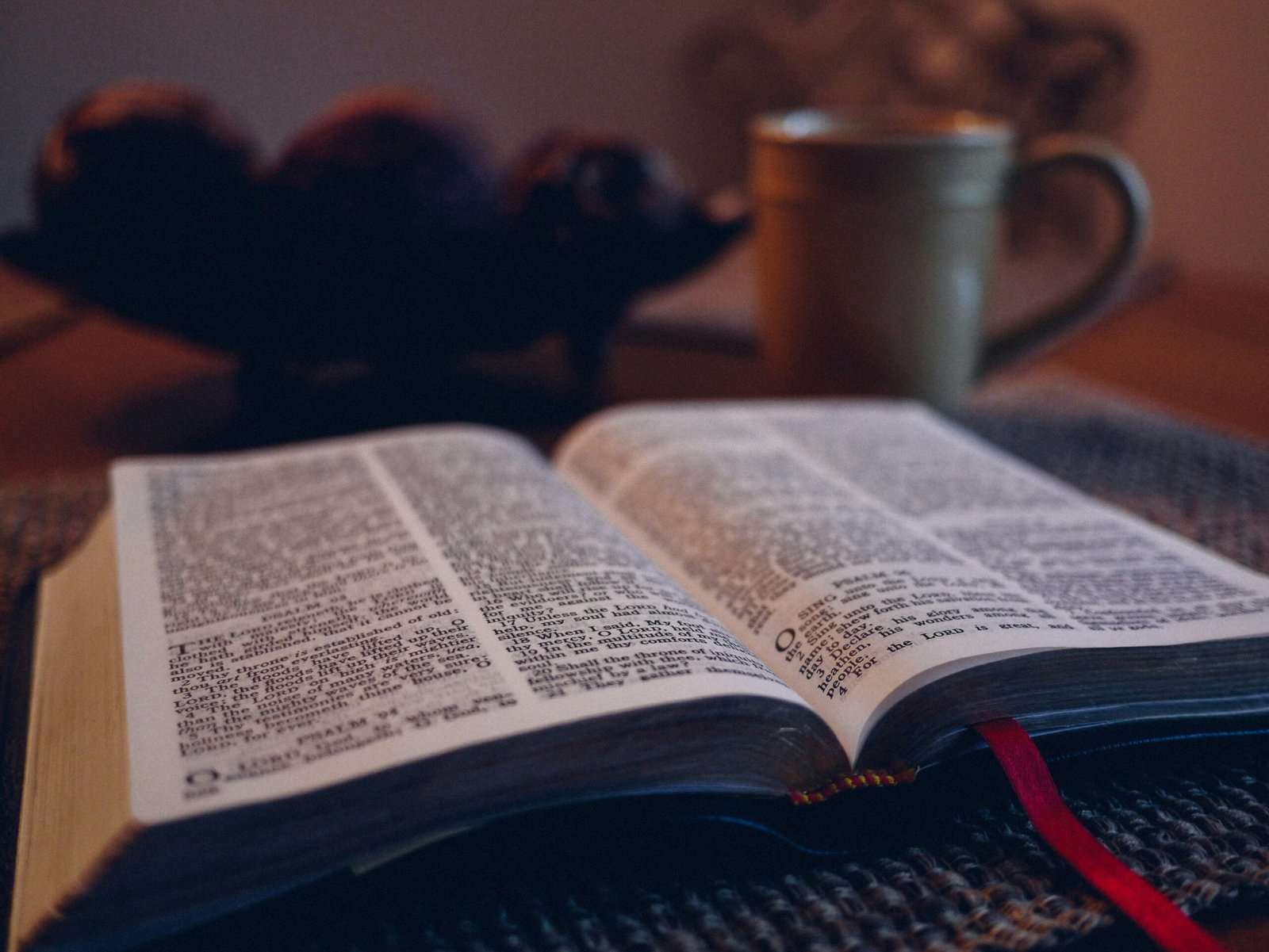 What's The Longest Book In The World?
