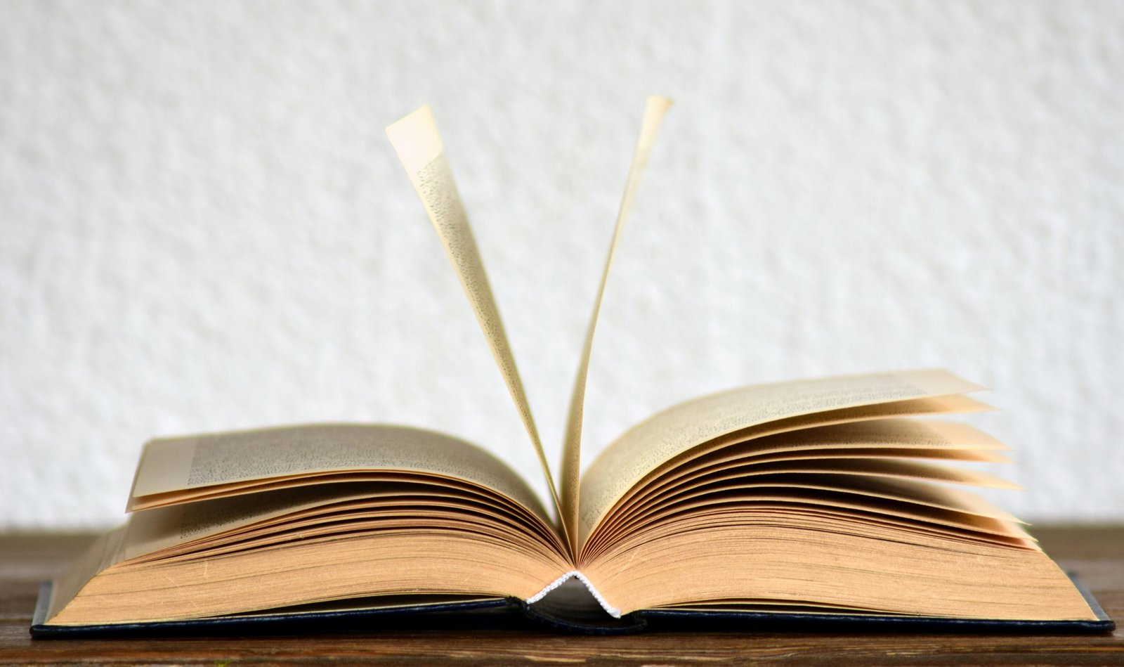 Which Is The No 1 Book In The World?