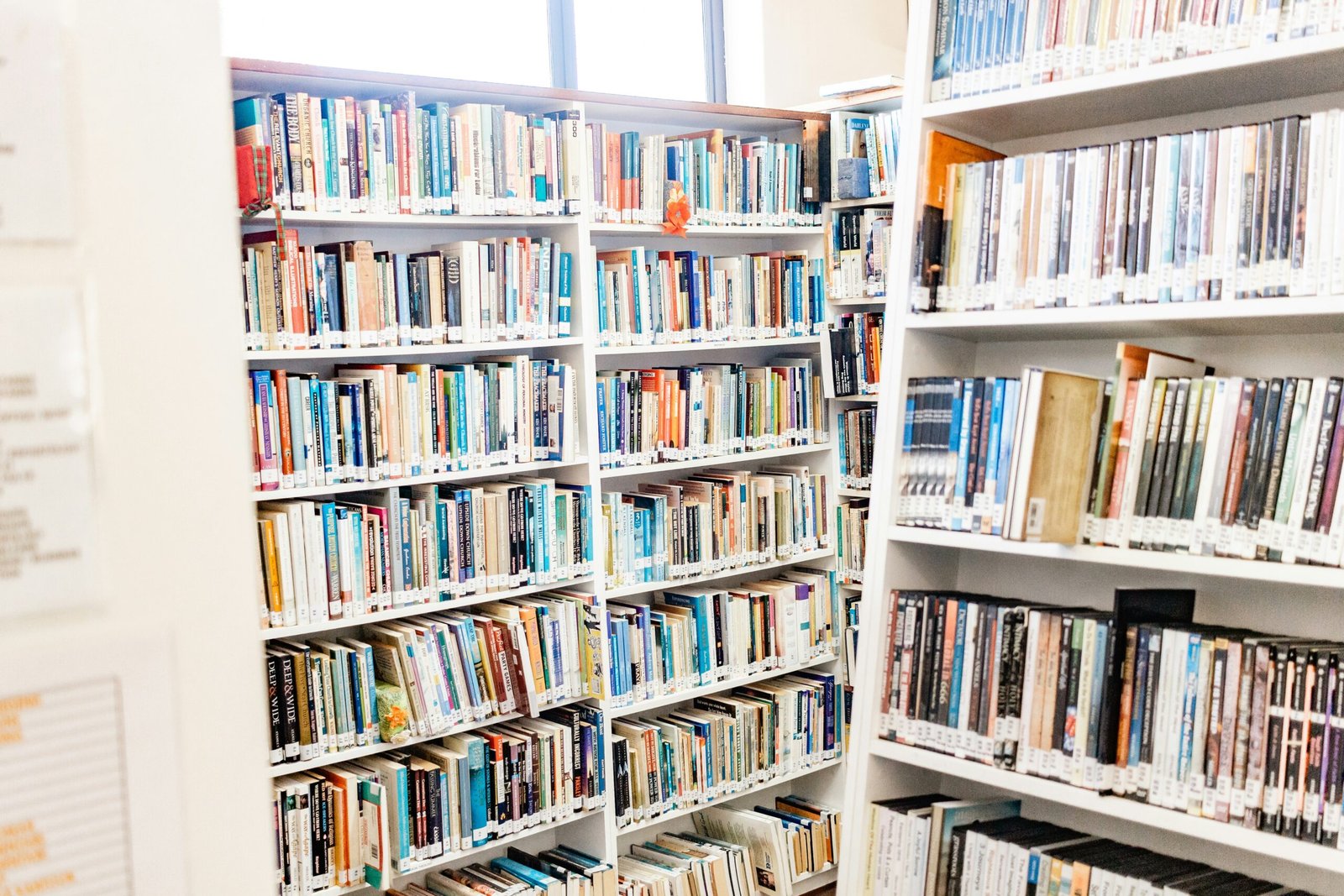 Are Books Still Popular 2023?