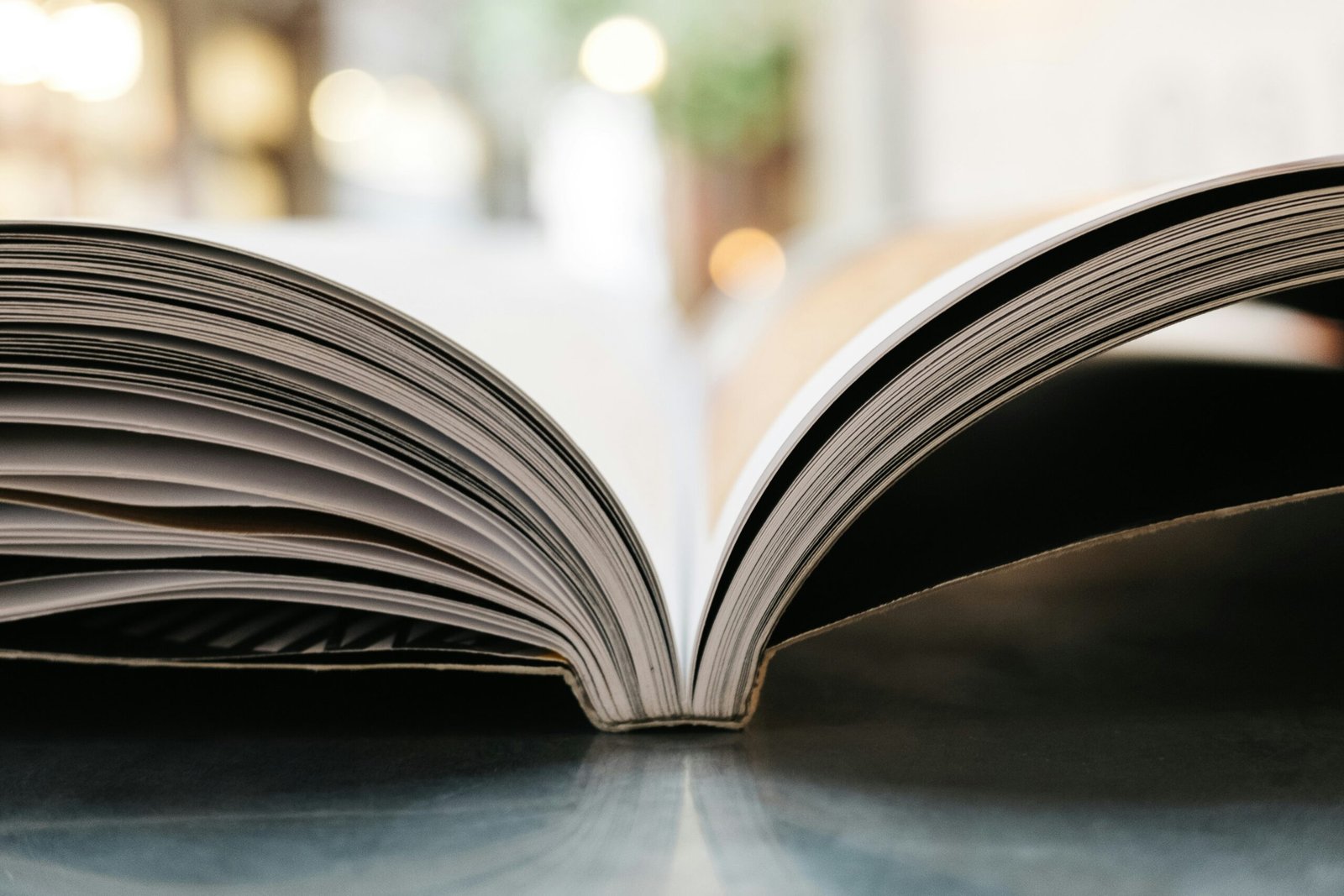 Whats The Longest Book In The World?