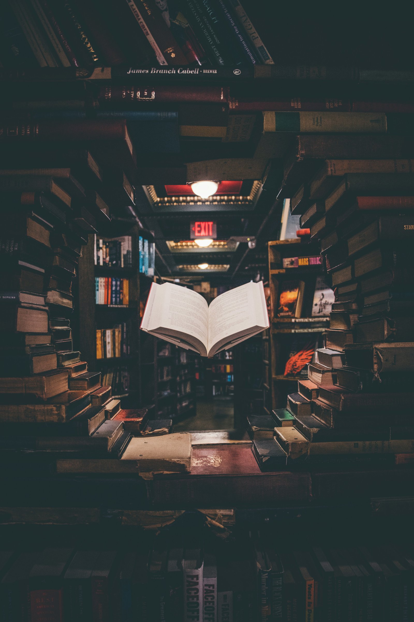 Whats The Longest Book In The World?