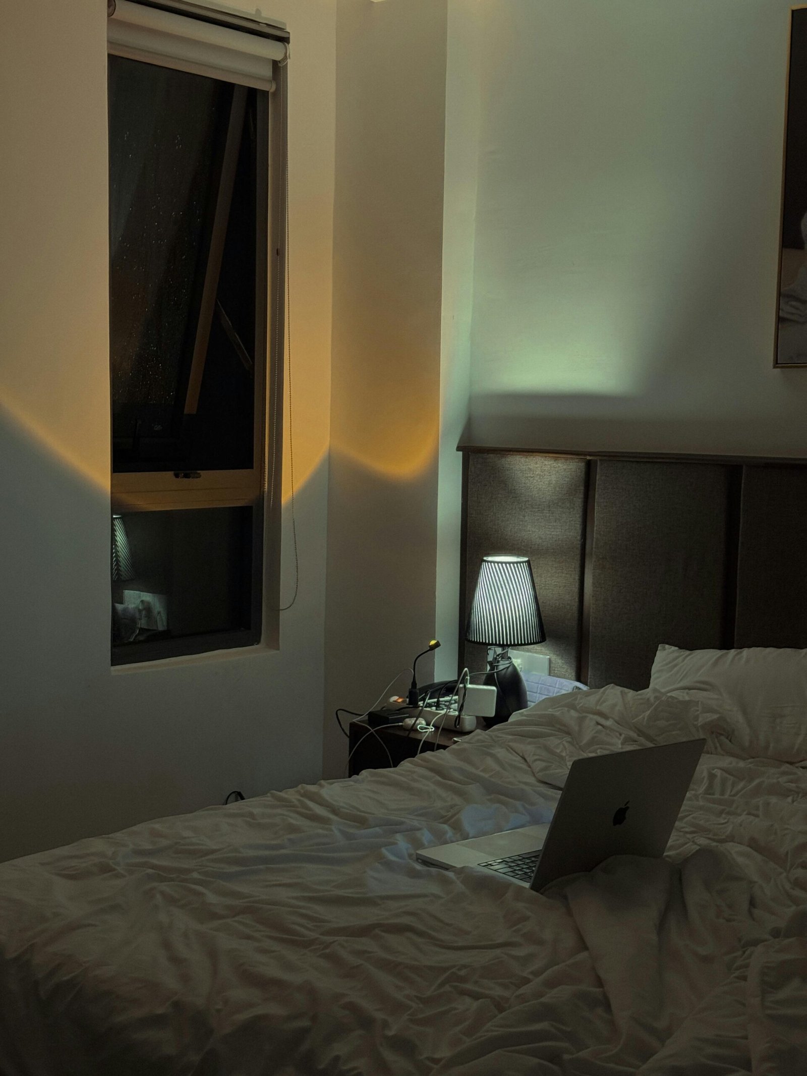 Gentle Bedtime Stories About Animals for Peaceful Nights Gentle Bedtime Stories About Animals for Peaceful Nights