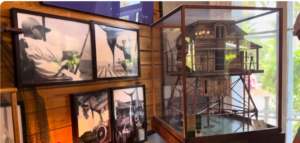 Exploring The Ernest Hemingway Home & Museum