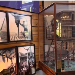 Bedtime Stories to Spark Gentle Dreams