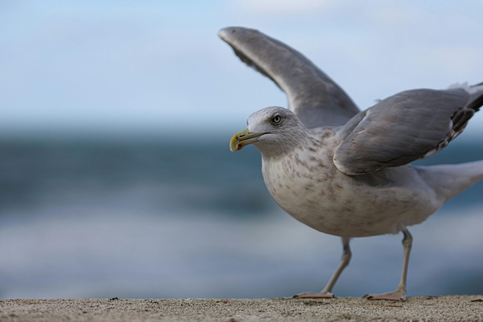 Seaside Escape at Crandon Park in Miami