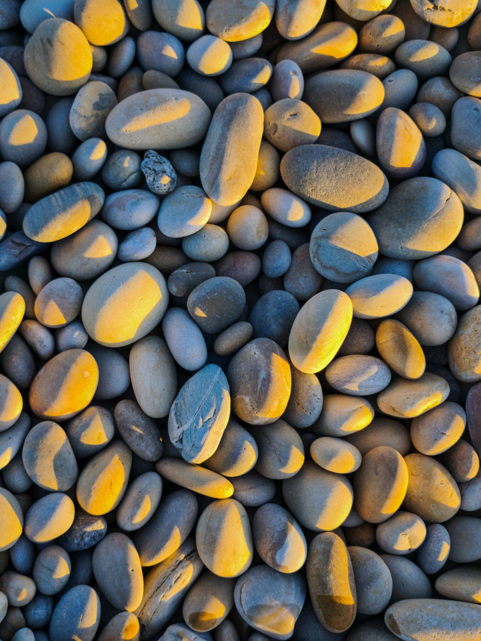 Secrets of Vizcaya Museum and Gardens