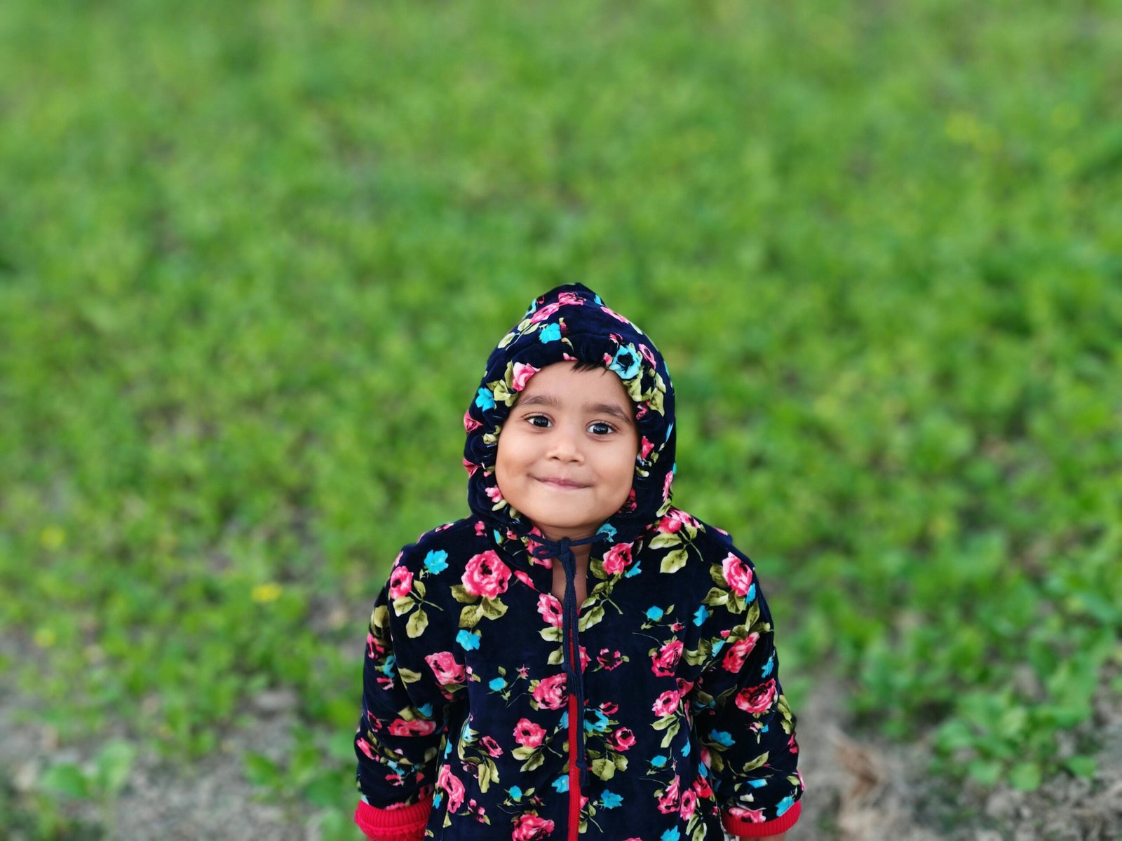 The Little Lantern story for kids with moral