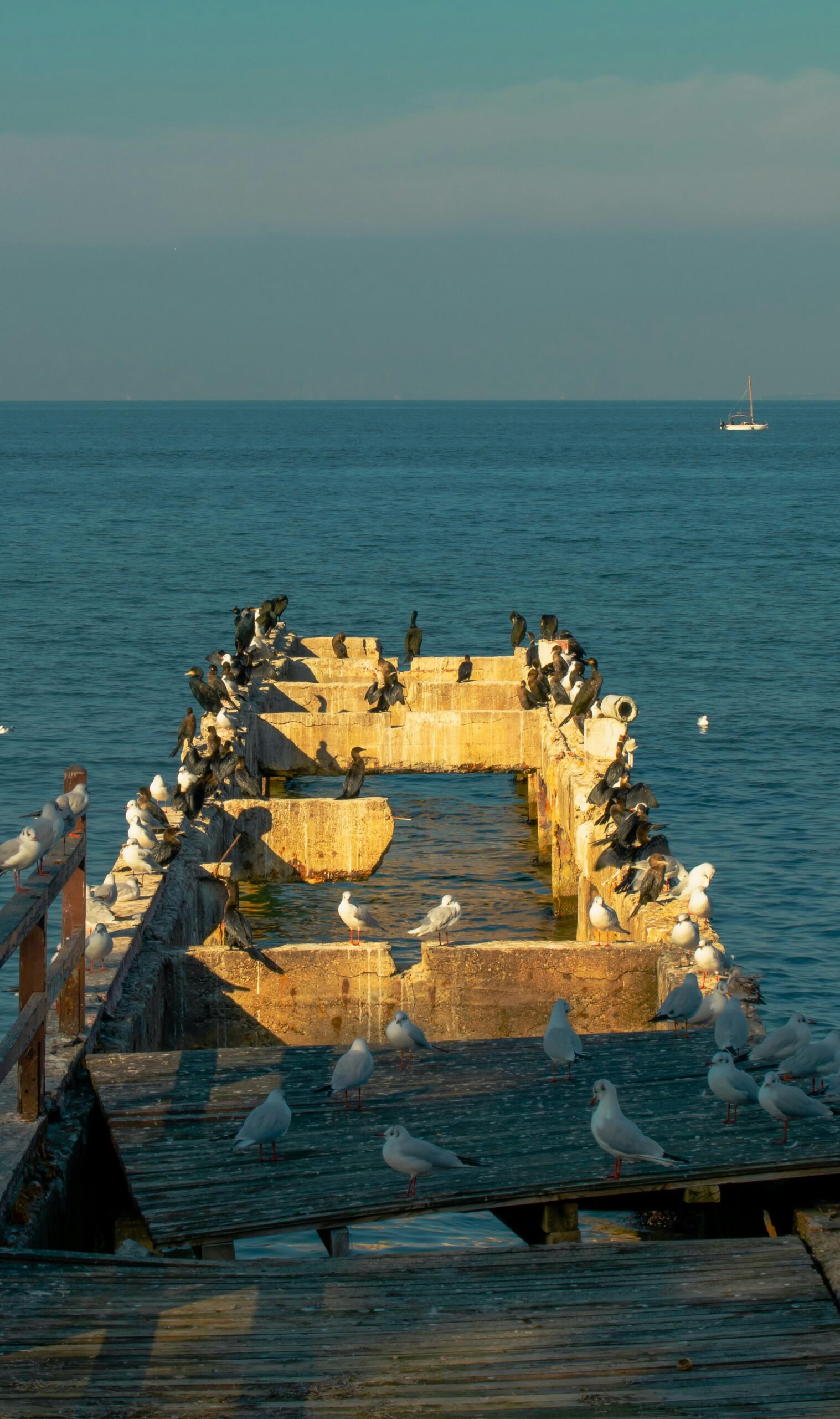 Anastasia State Park Coastal Trails and Wildlife