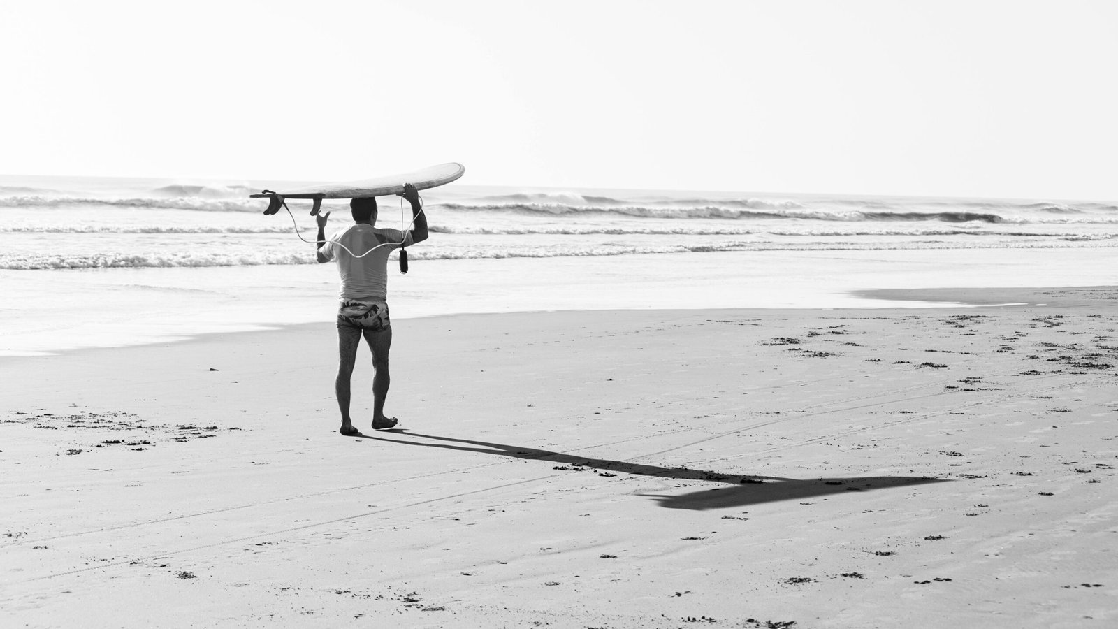 Anastasia State Park Coastal Trails and Wildlife