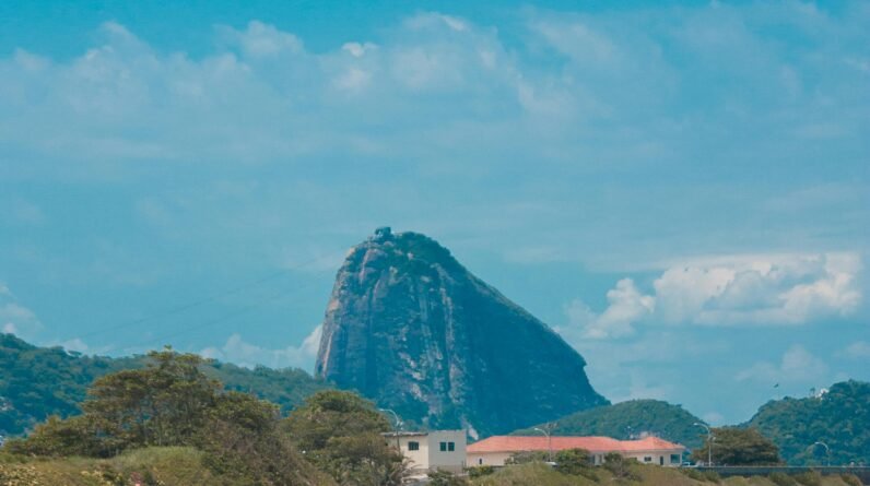 anastasia state park coastal trails and wildlife