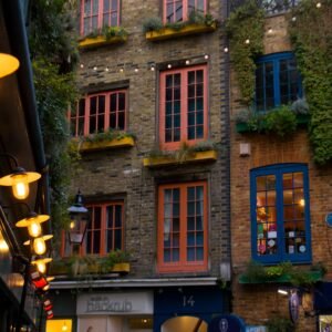 zora neale hurston national museum of fine arts cultural heritage showcase 1