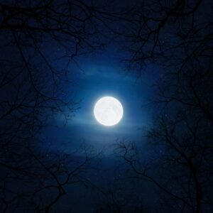 magical moon river bedtime story 7 best nighttime tales