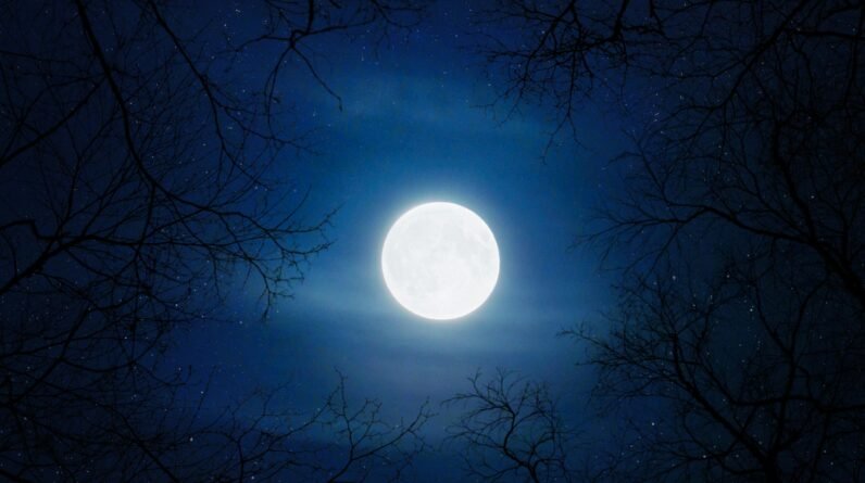 magical moon river bedtime story 7 best nighttime tales